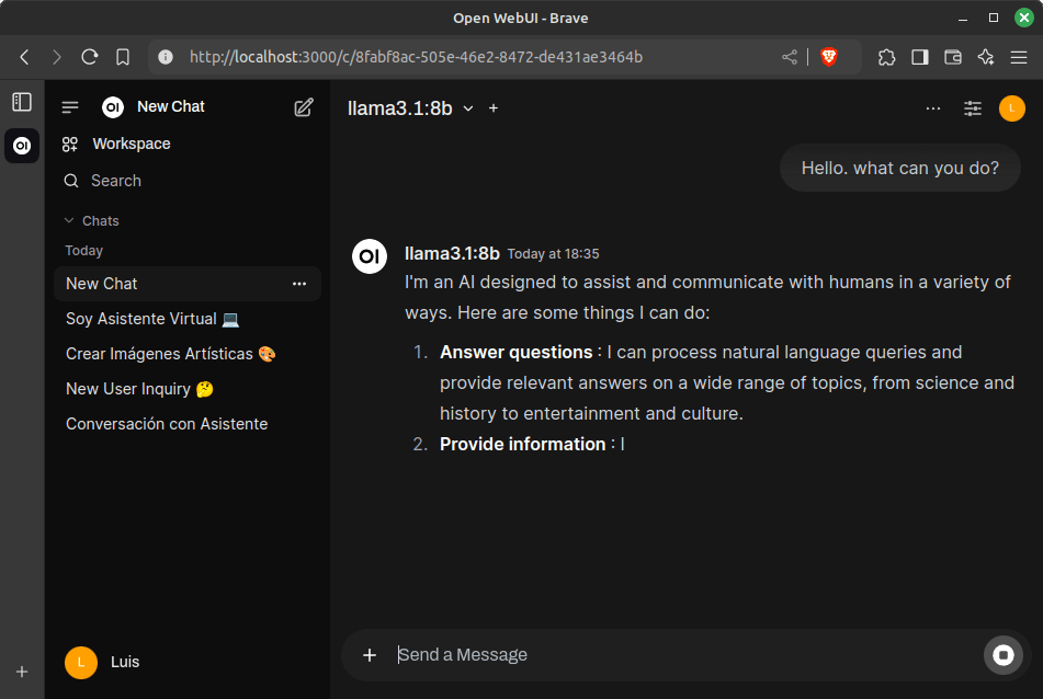 Ollama from Open WebUI